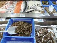 Fischmarkt in Fano
