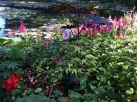 Garten von Monet1