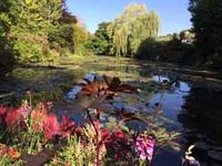 Garten von Monet2
